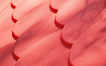 Doll plastic roof costs